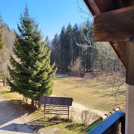 Apartment Dobnikar Kranjska Gora Eksteriør billede